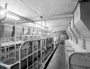 Milking Unit, Harewood Estate